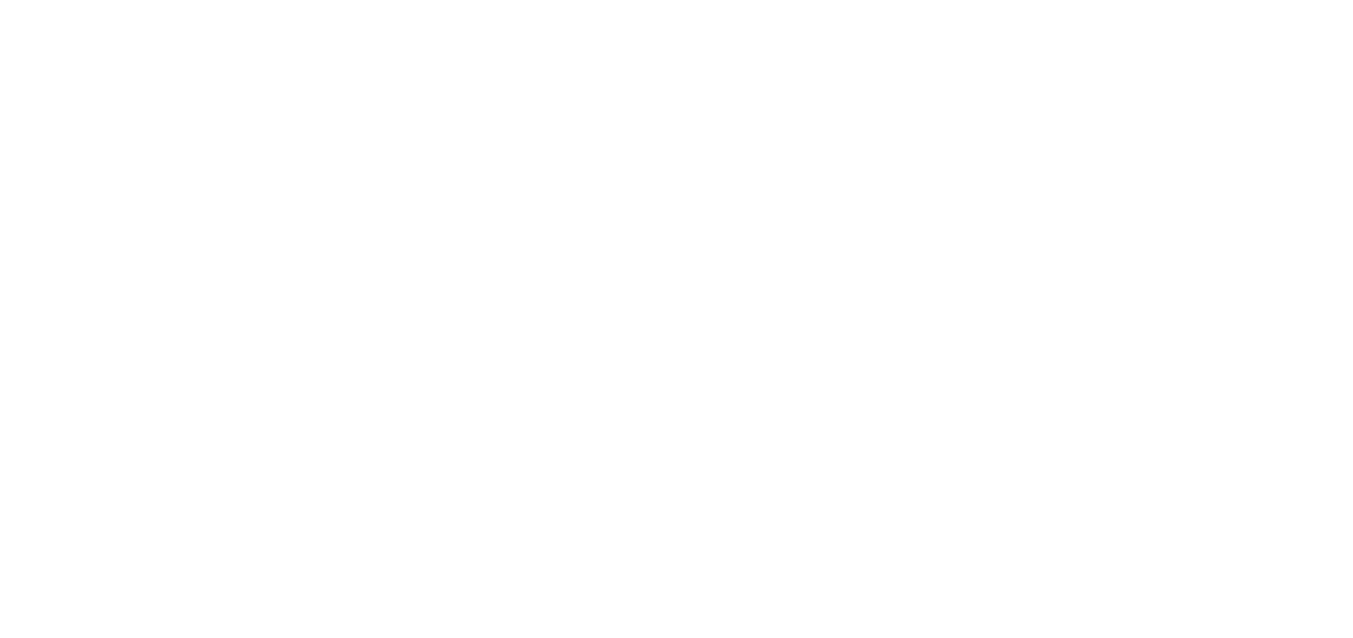 Pima Medical Institute Logo - White