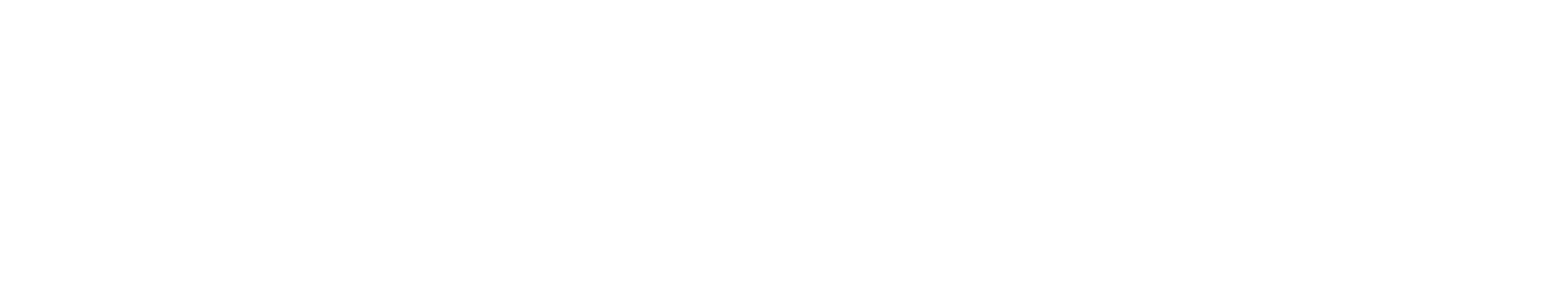 Level Agency
